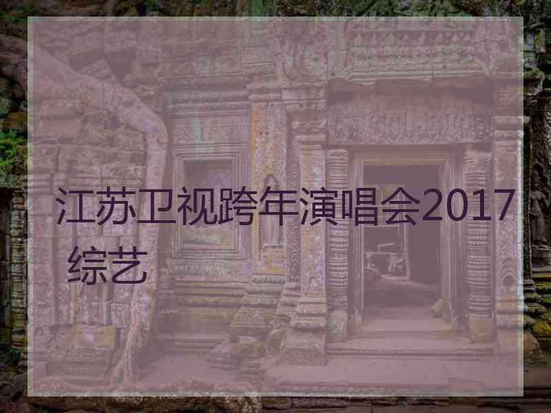 江苏卫视跨年演唱会2017 综艺