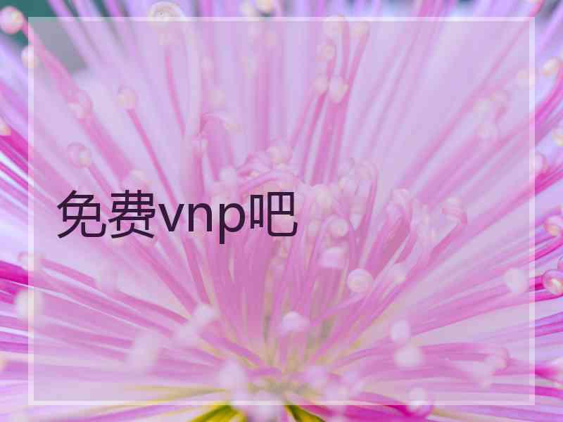 免费vnp吧