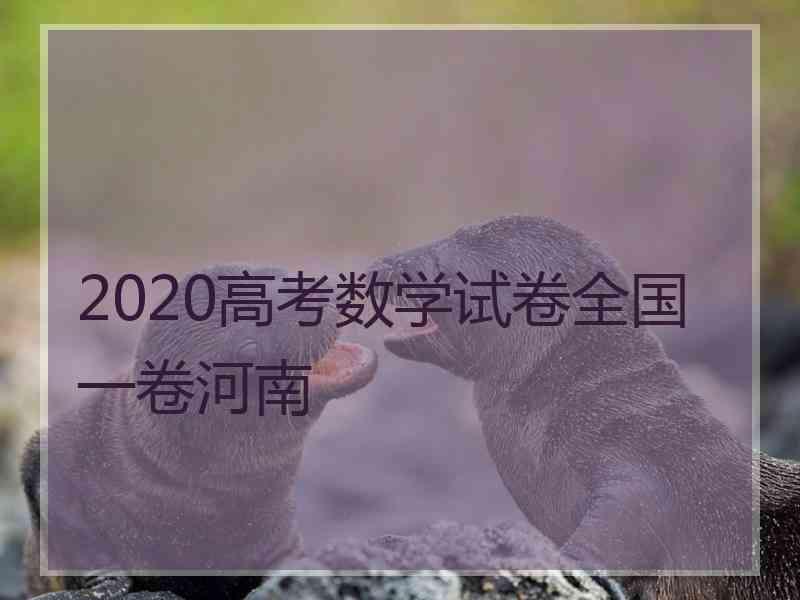 2020高考数学试卷全国一卷河南