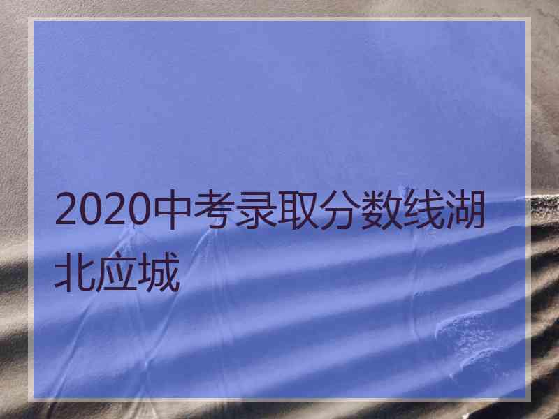 2020中考录取分数线湖北应城