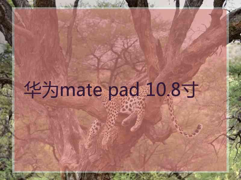 华为mate pad 10.8寸