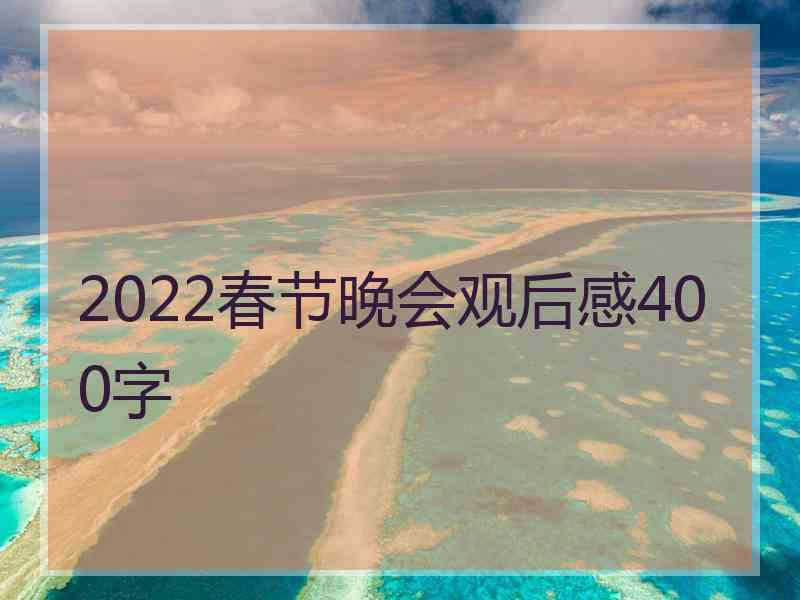 2022春节晚会观后感400字