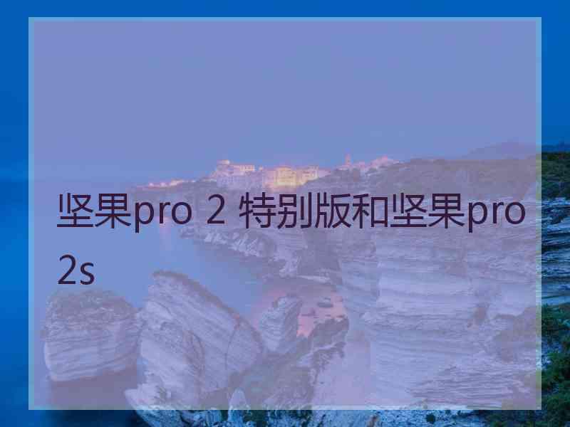 坚果pro 2 特别版和坚果pro 2s