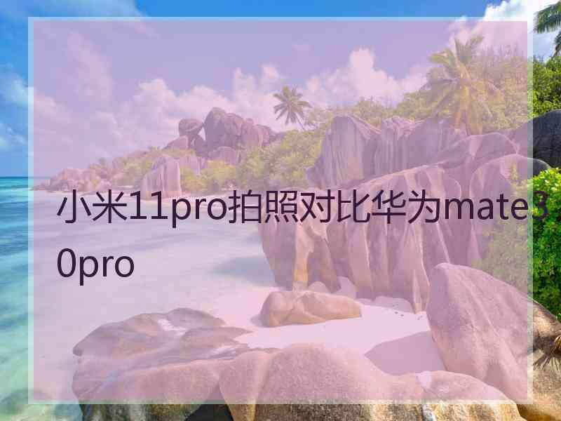 小米11pro拍照对比华为mate30pro