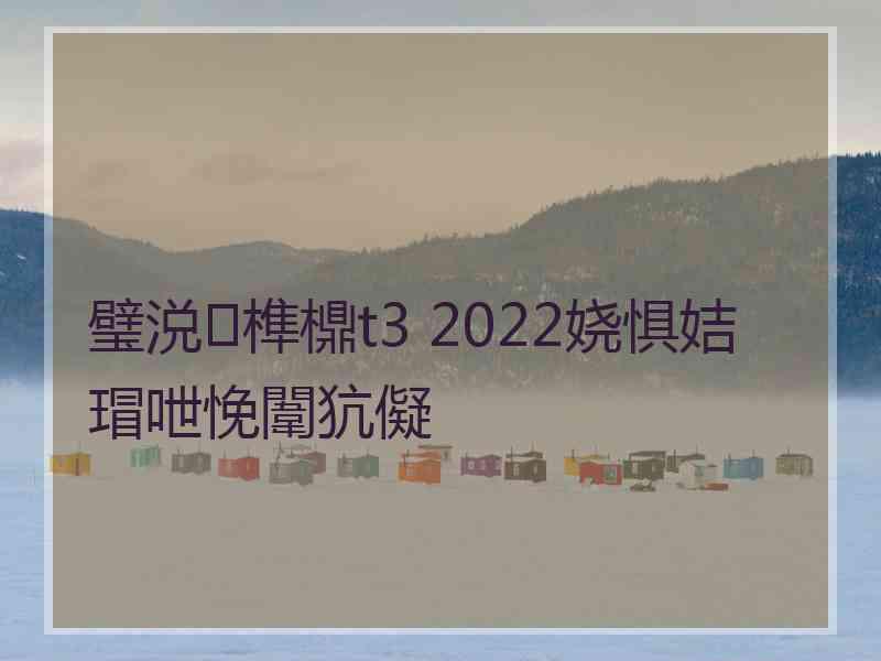 璧涚榫檙t3 2022娆惧姞瑁呭悗闈犺儗