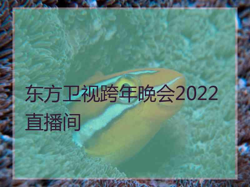 东方卫视跨年晚会2022直播间