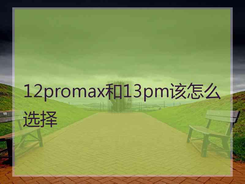 12promax和13pm该怎么选择