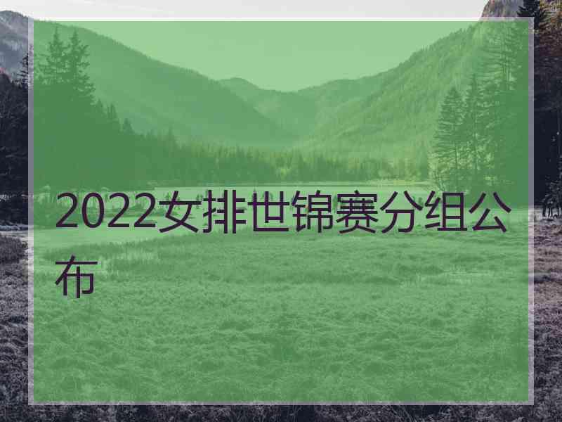 2022女排世锦赛分组公布