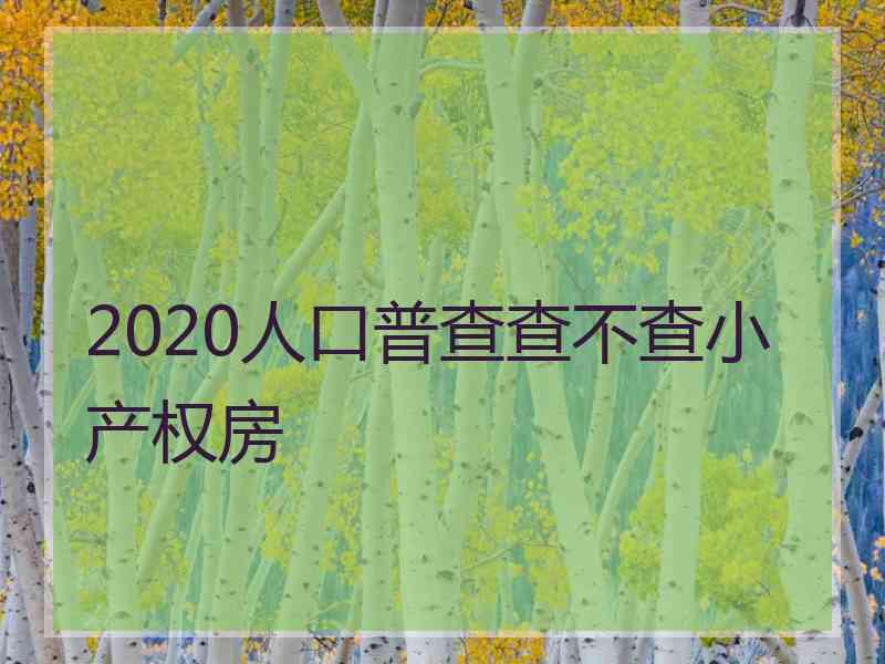 2020人口普查查不查小产权房