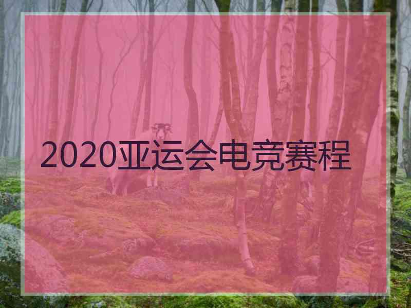 2020亚运会电竞赛程