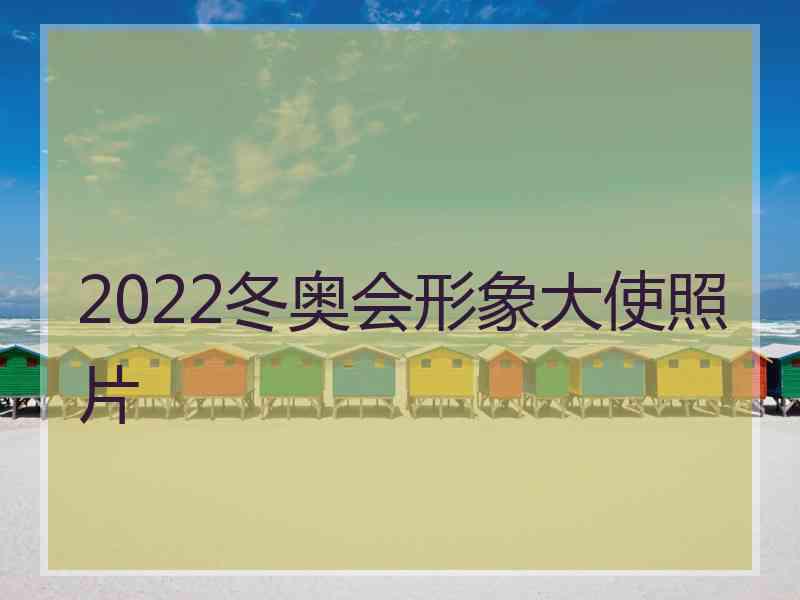 2022冬奥会形象大使照片