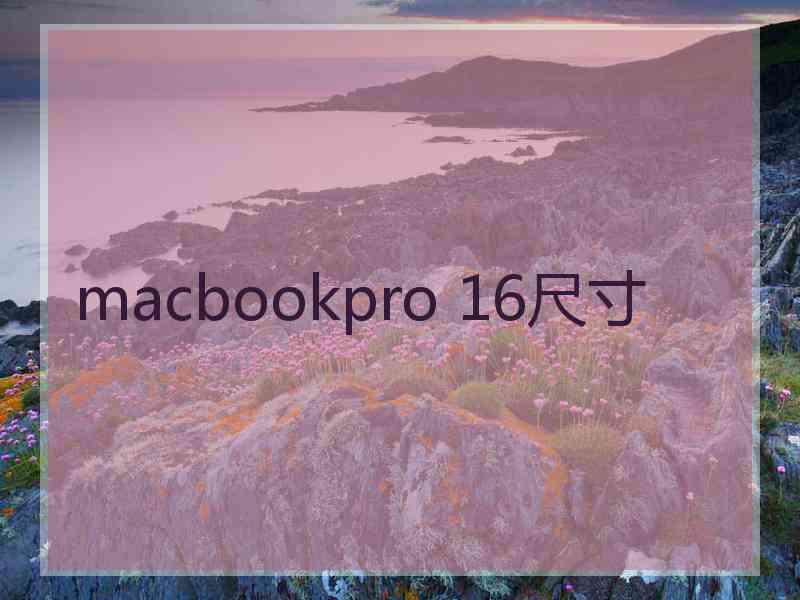 macbookpro 16尺寸