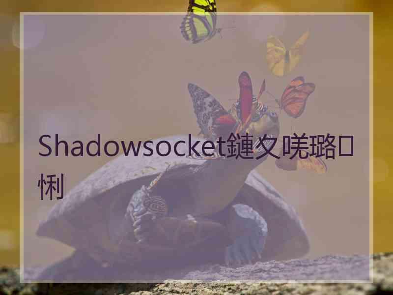 Shadowsocket鏈夊唴璐悧