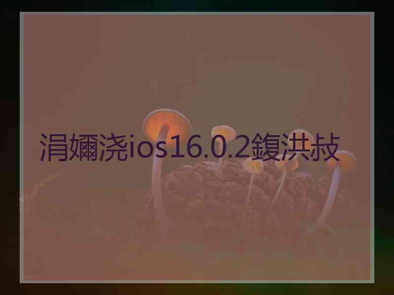 涓嬭浇ios16.0.2鍑洪敊