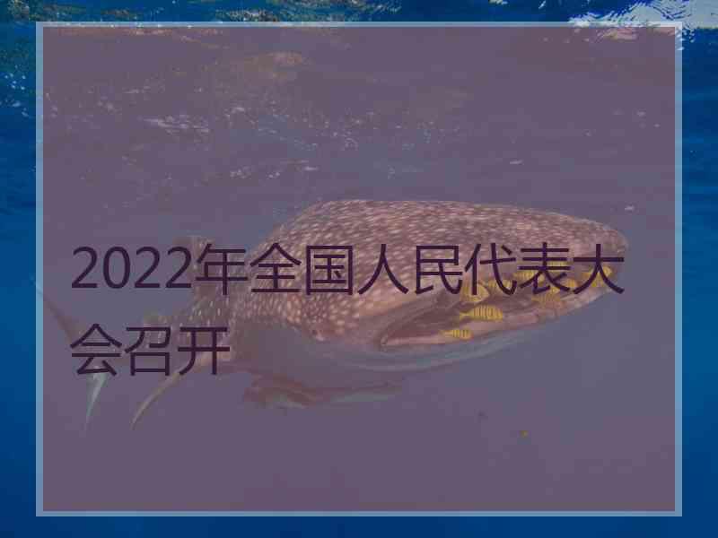 2022年全国人民代表大会召开