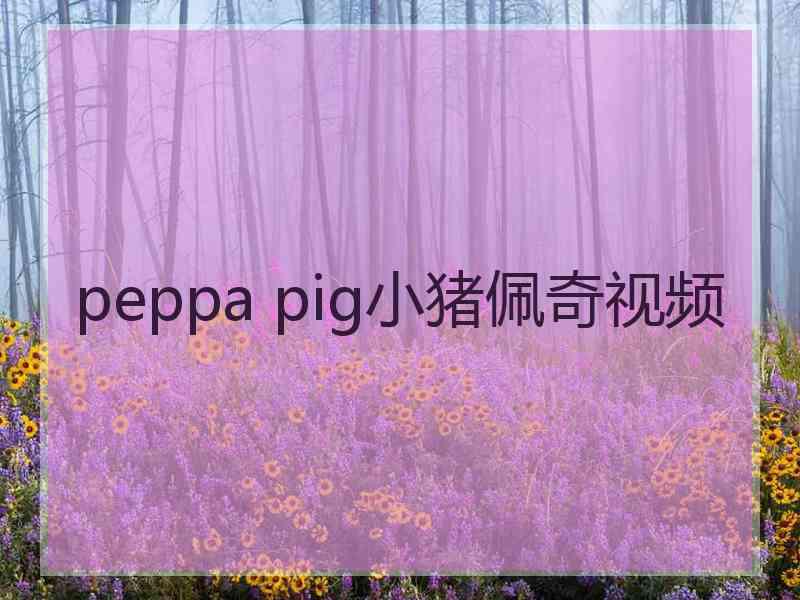 peppa pig小猪佩奇视频