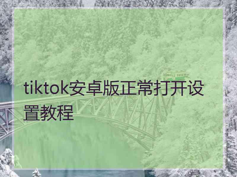 tiktok安卓版正常打开设置教程