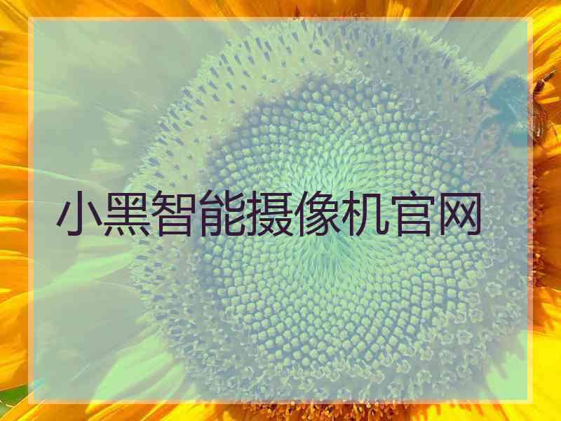 小黑智能摄像机官网