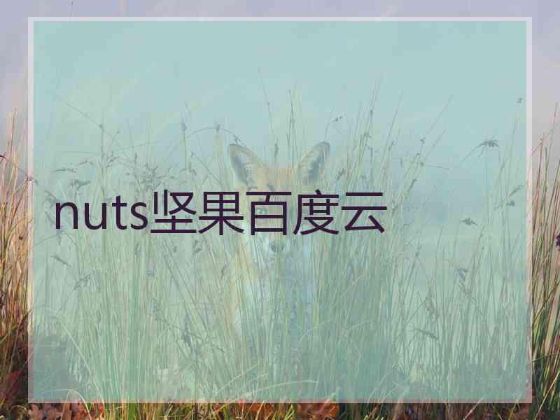 nuts坚果百度云