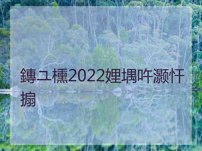 鏄ユ櫄2022娌堣吘灏忓搧