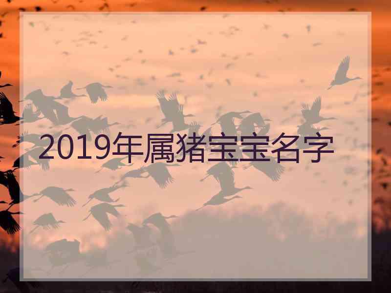 2019年属猪宝宝名字