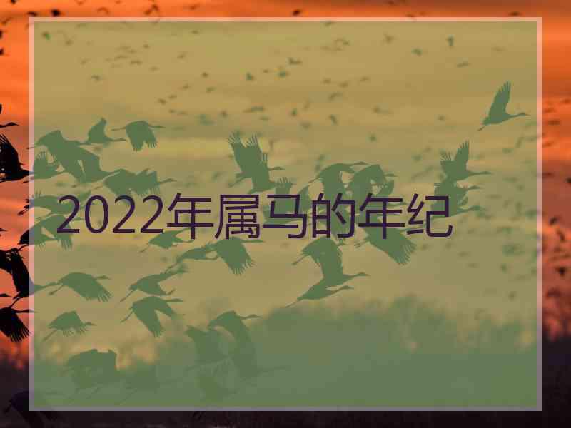 2022年属马的年纪