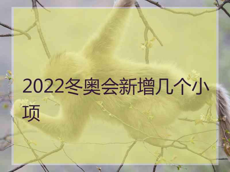 2022冬奥会新增几个小项