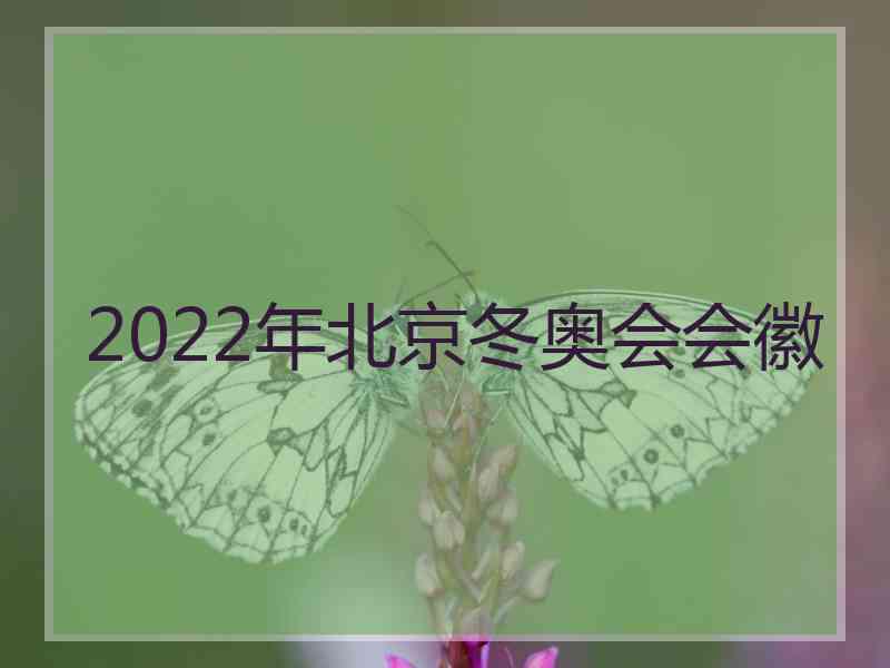 2022年北京冬奥会会徽