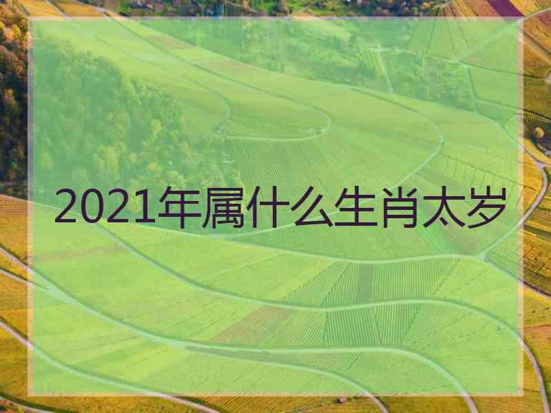 2021年属什么生肖太岁