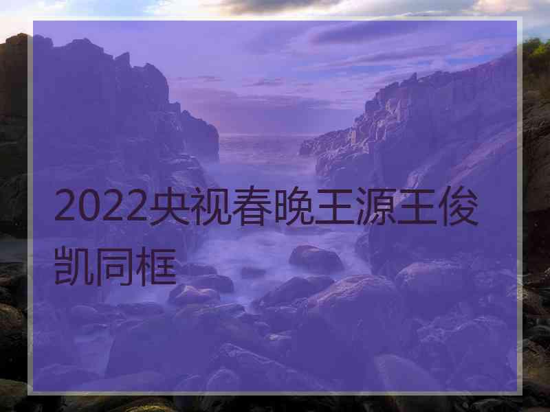 2022央视春晚王源王俊凯同框