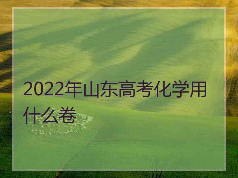 2022年山东高考化学用什么卷