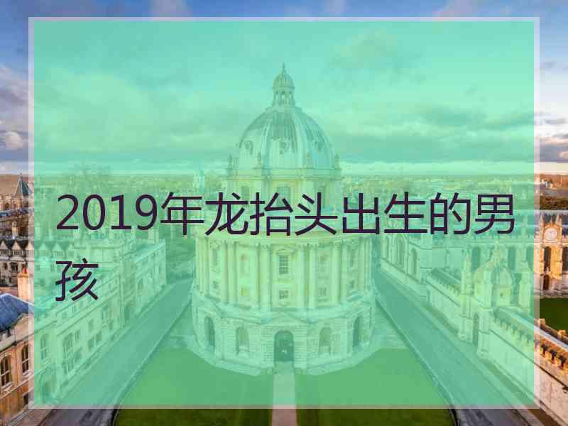 2019年龙抬头出生的男孩