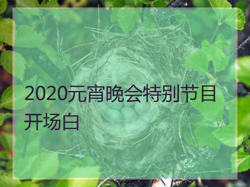 2020元宵晚会特别节目开场白