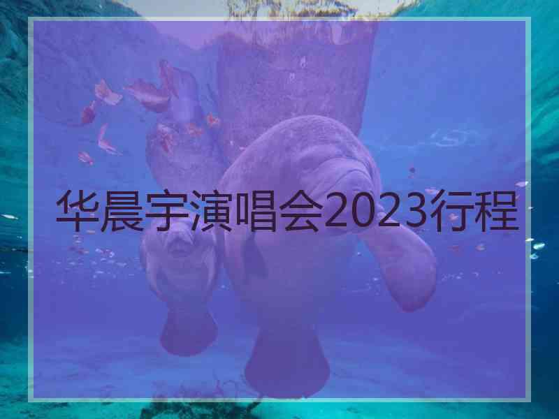 华晨宇演唱会2023行程