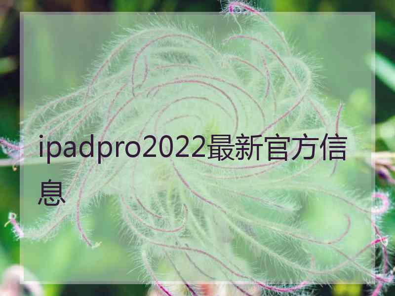 ipadpro2022最新官方信息