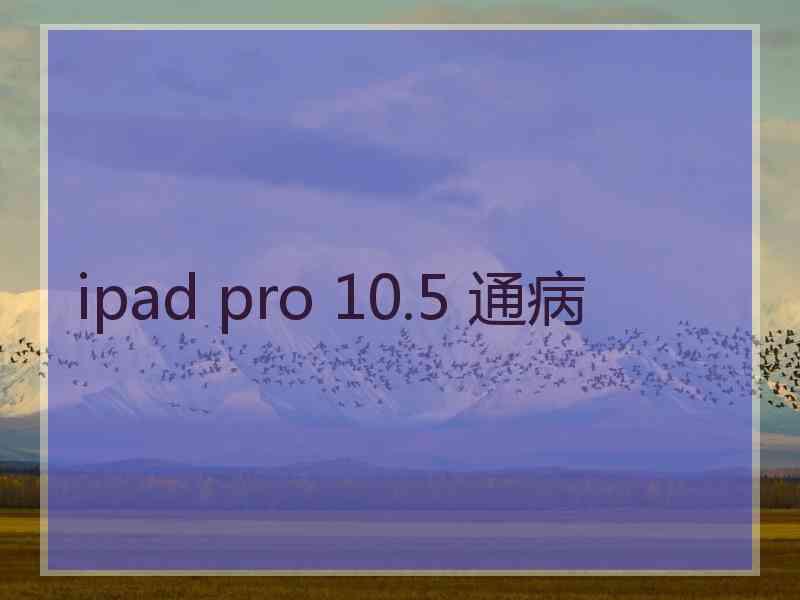 ipad pro 10.5 通病