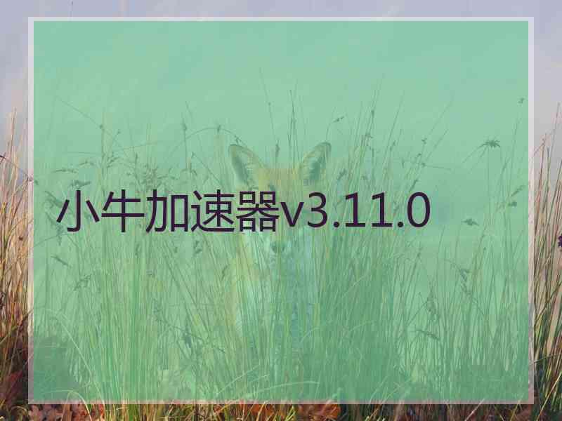 小牛加速器v3.11.0