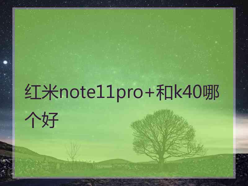 红米note11pro+和k40哪个好