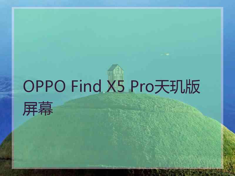 OPPO Find X5 Pro天玑版屏幕