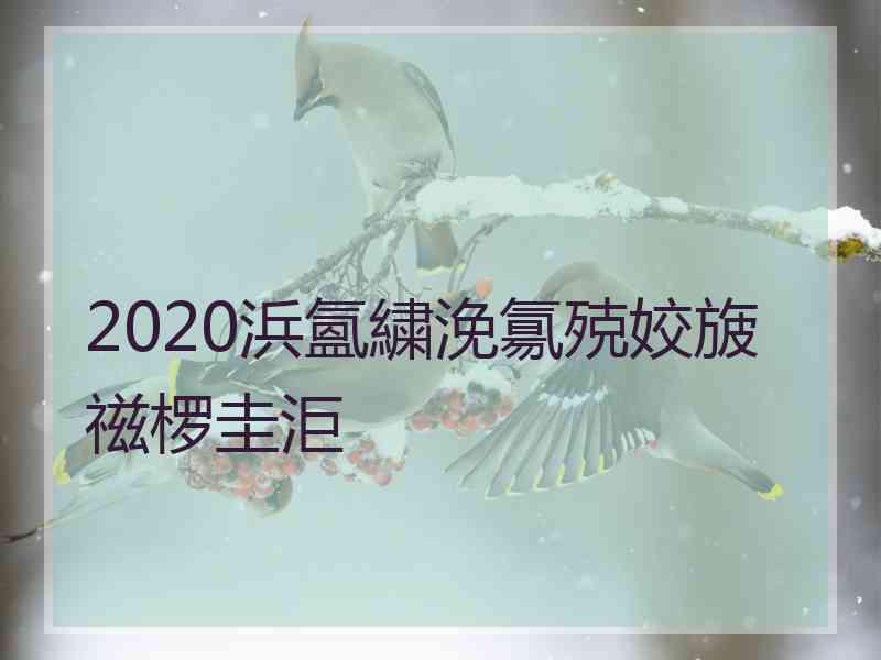 2020浜氳繍浼氱殑姣旇禌椤圭洰