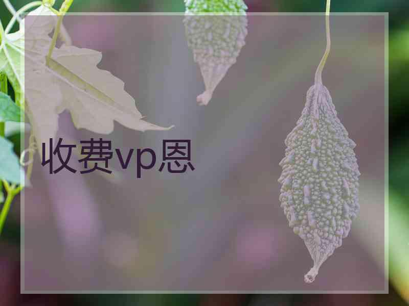 收费vp恩