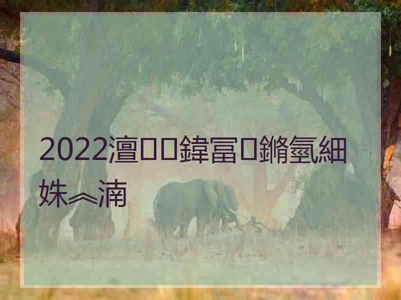 2022澶鍏冨鏅氫細姝︽湳