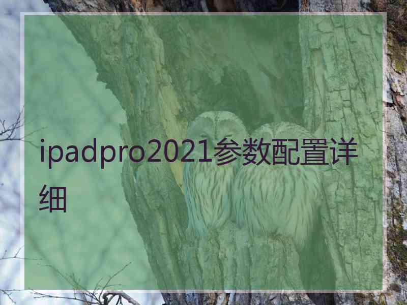 ipadpro2021参数配置详细