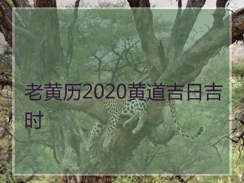 老黄历2020黄道吉日吉时