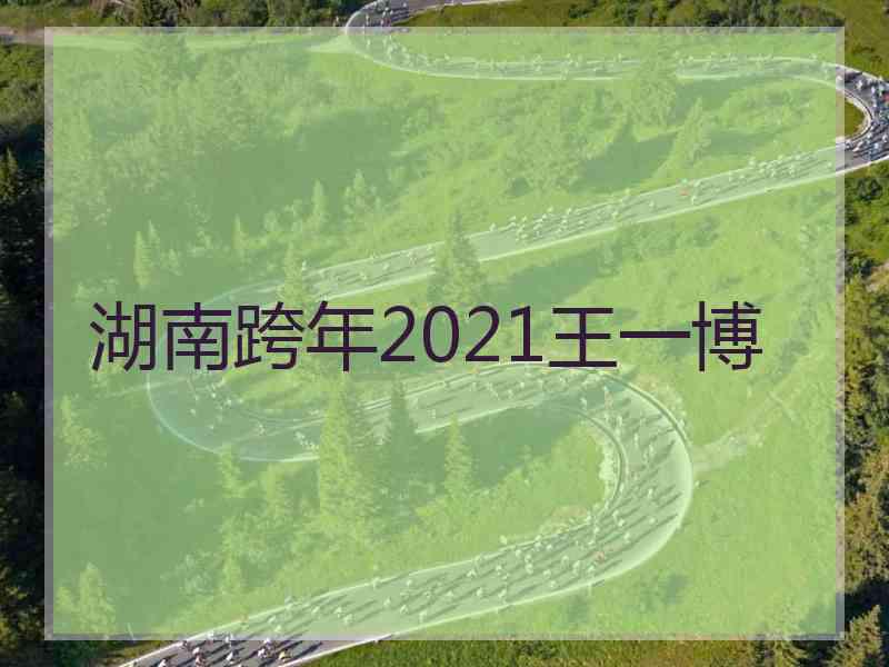 湖南跨年2021王一博