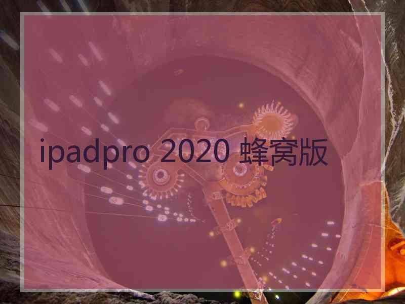 ipadpro 2020 蜂窝版