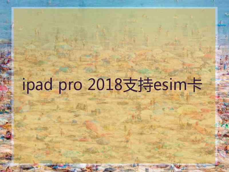 ipad pro 2018支持esim卡