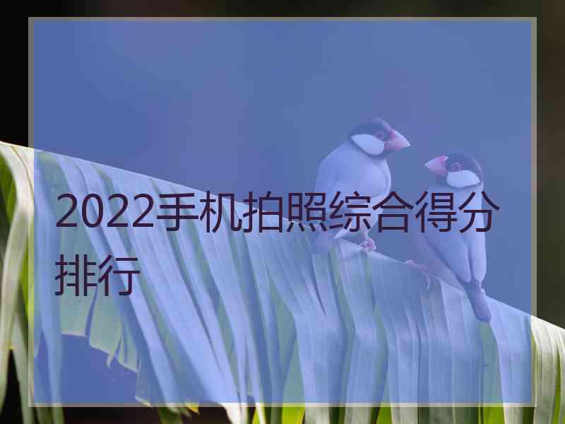 2022手机拍照综合得分排行