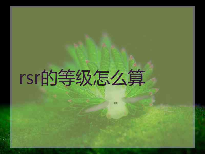 rsr的等级怎么算