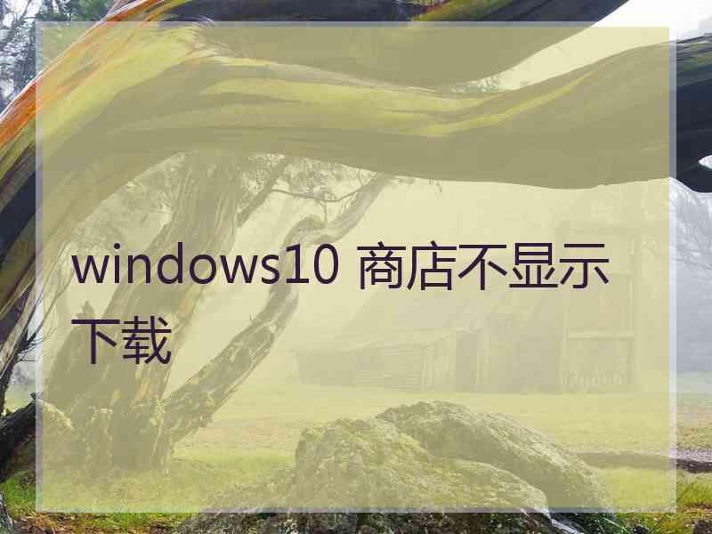 windows10 商店不显示下载